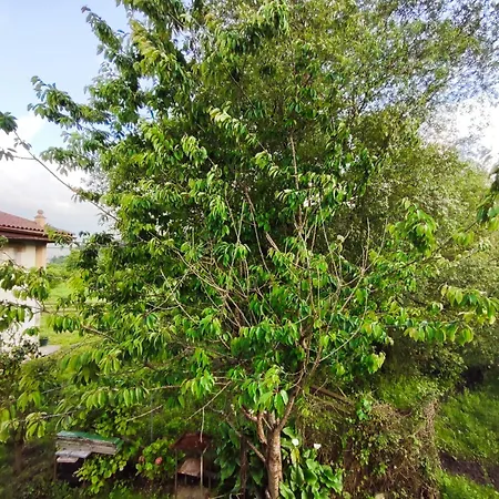 Playa Y Montana منزل للإقامة *