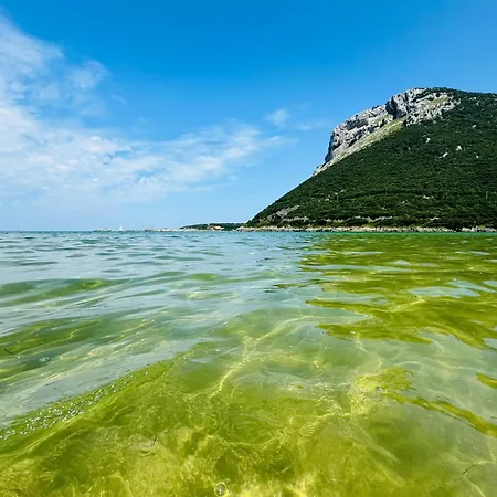 Playa Y Montana * أورينيون