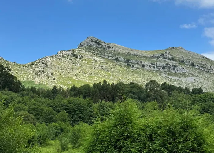 Homestay Playa Y Montana *