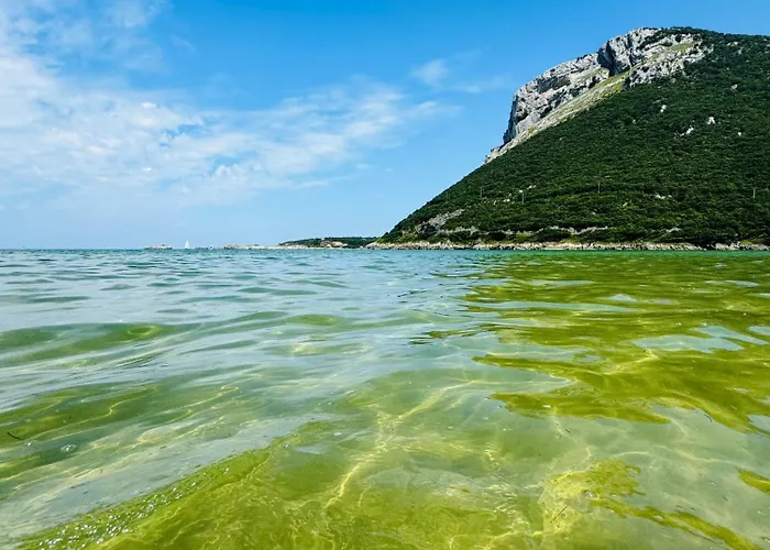 Playa Y Montana * Orinon